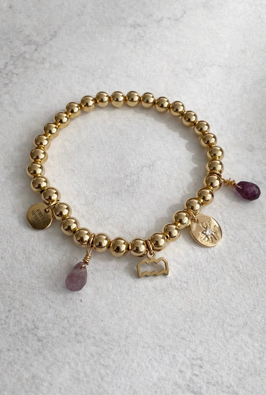 Aquarius charm bracelet